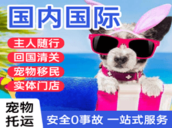 阳江合山航空空运国际宠物托运 【国